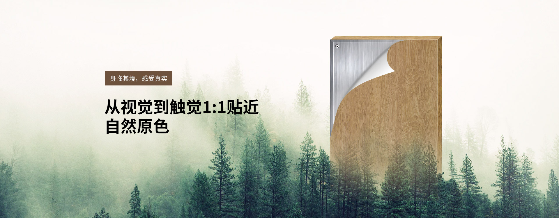 自然視覺(jué)1:1
